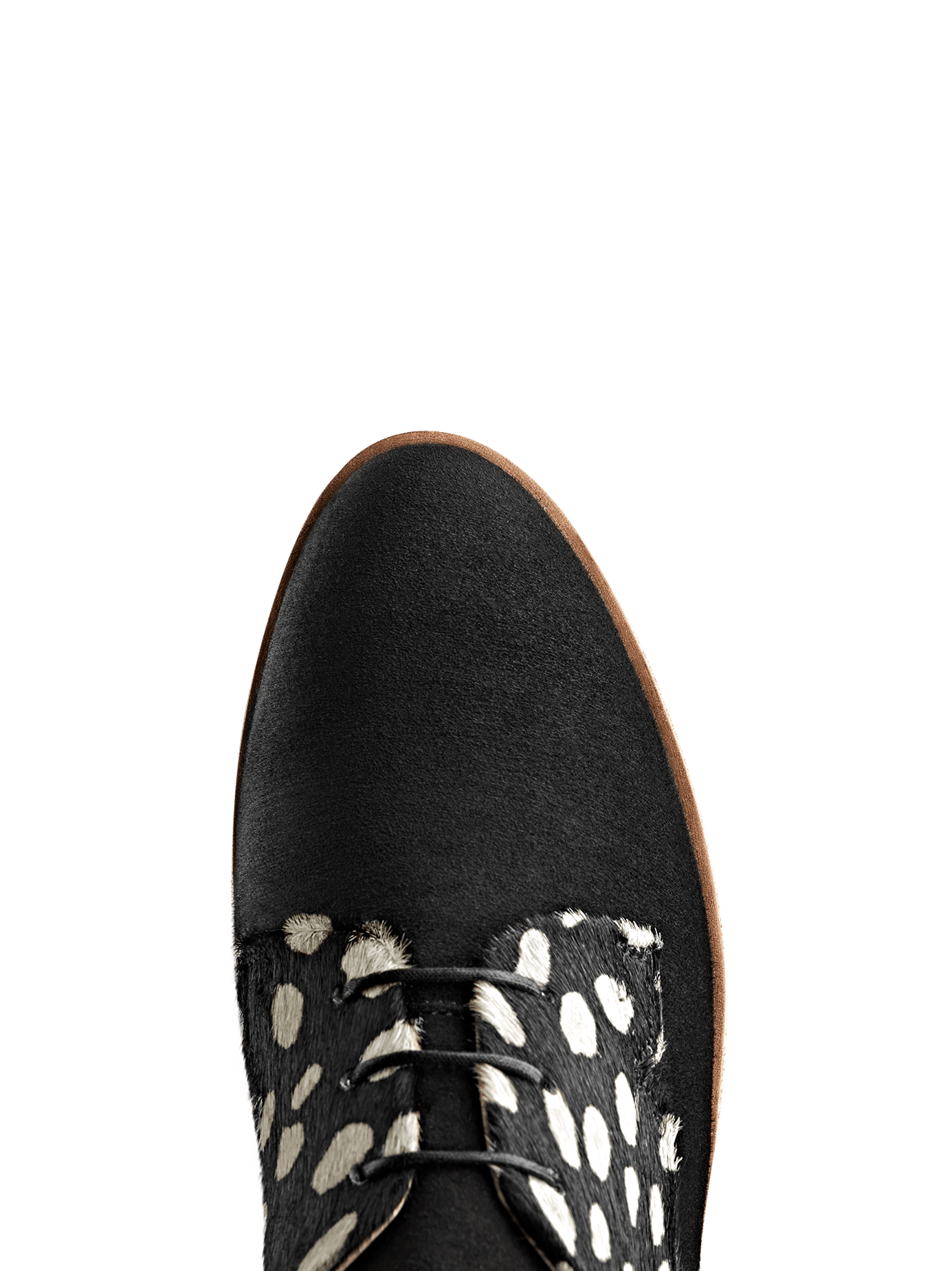 Hayle, our brogue flatform in black and white hair leather with lace-up detail.