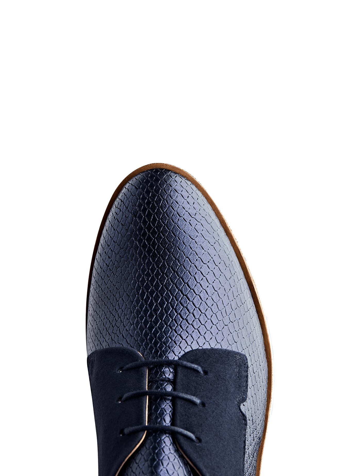 Hayle, our brogue flatform in navy metallic snake embossed leather with lace-up detail.